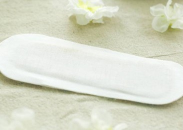 Standard for Female Sanitary Napkins (2008)