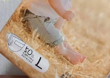 Effect of diapers on Wheat Growth