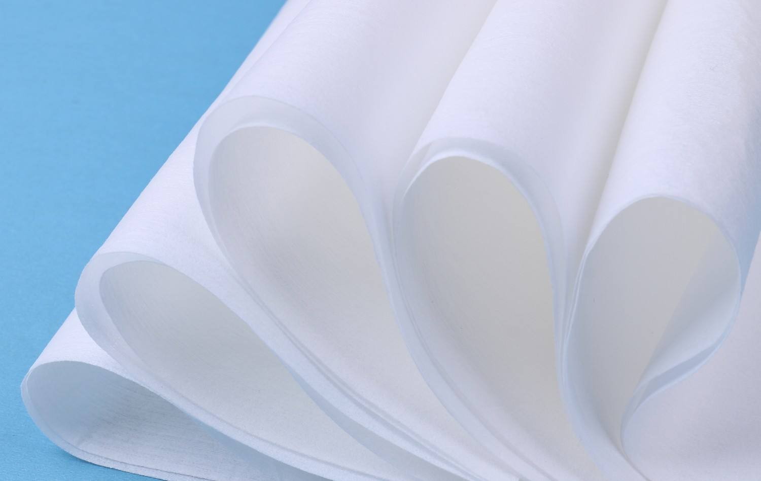 absorbent paper